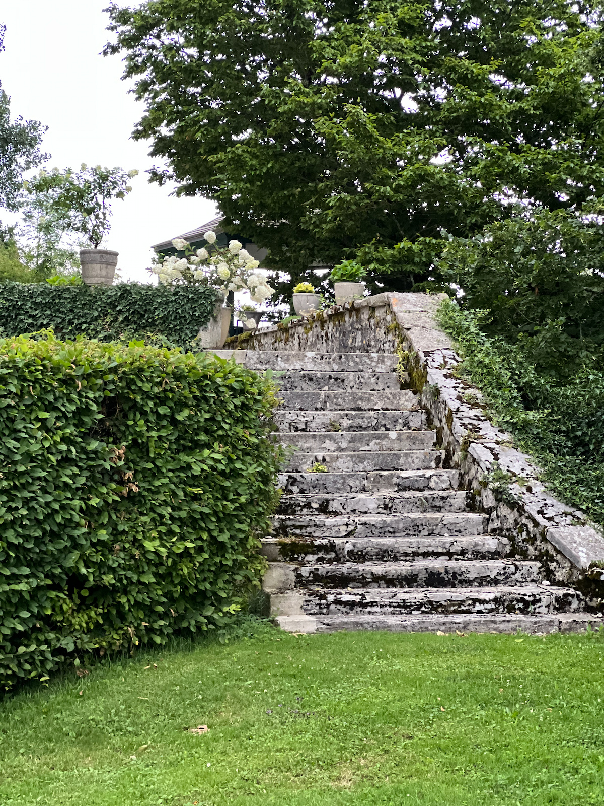 Weathered stone steps rising through the château gardens