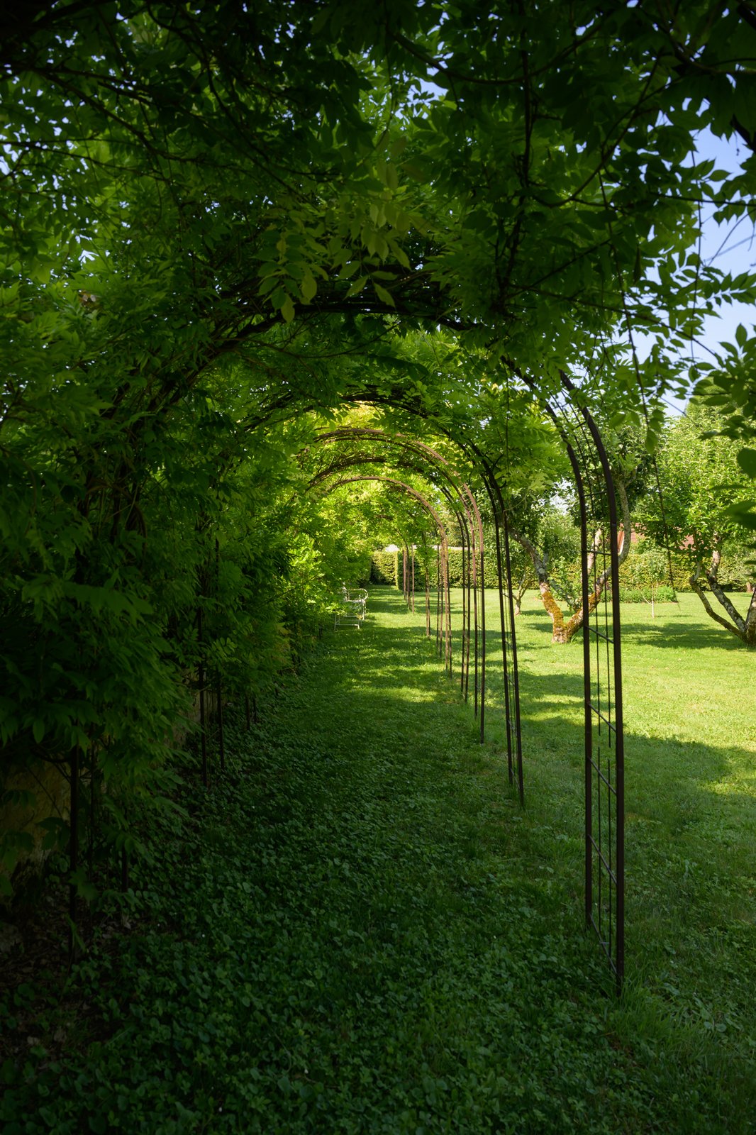 La tonnelle de verdure au-dessus de la pelouse