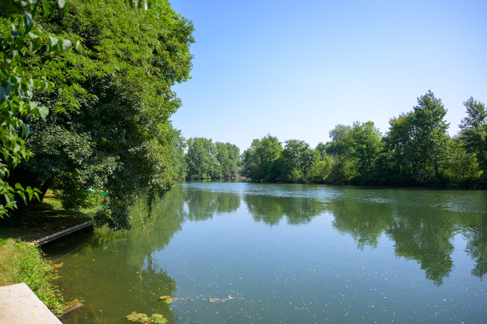 La Loue s’élargissant au pied du parc
